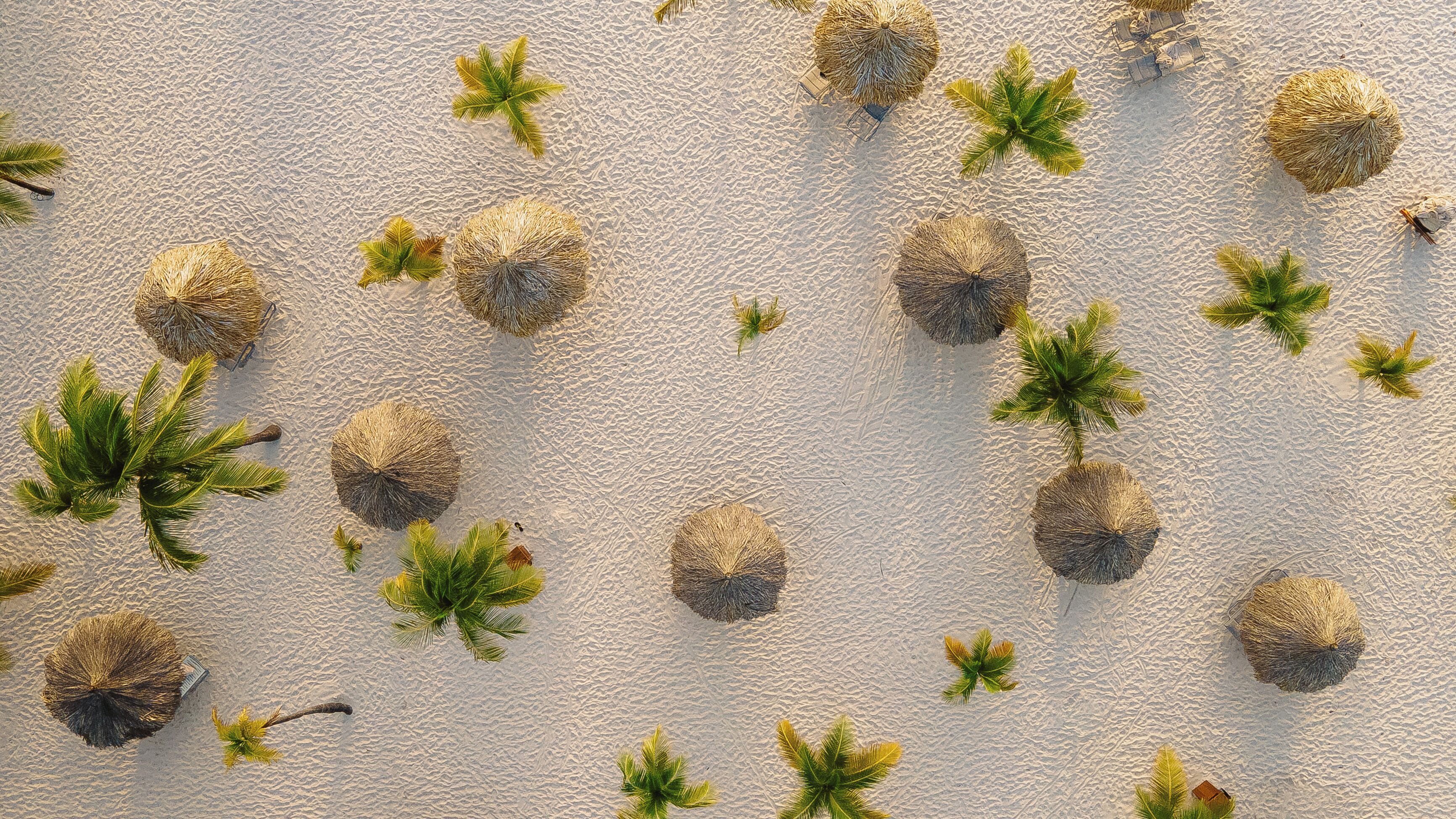 Manchebo Beach Resort & Spa