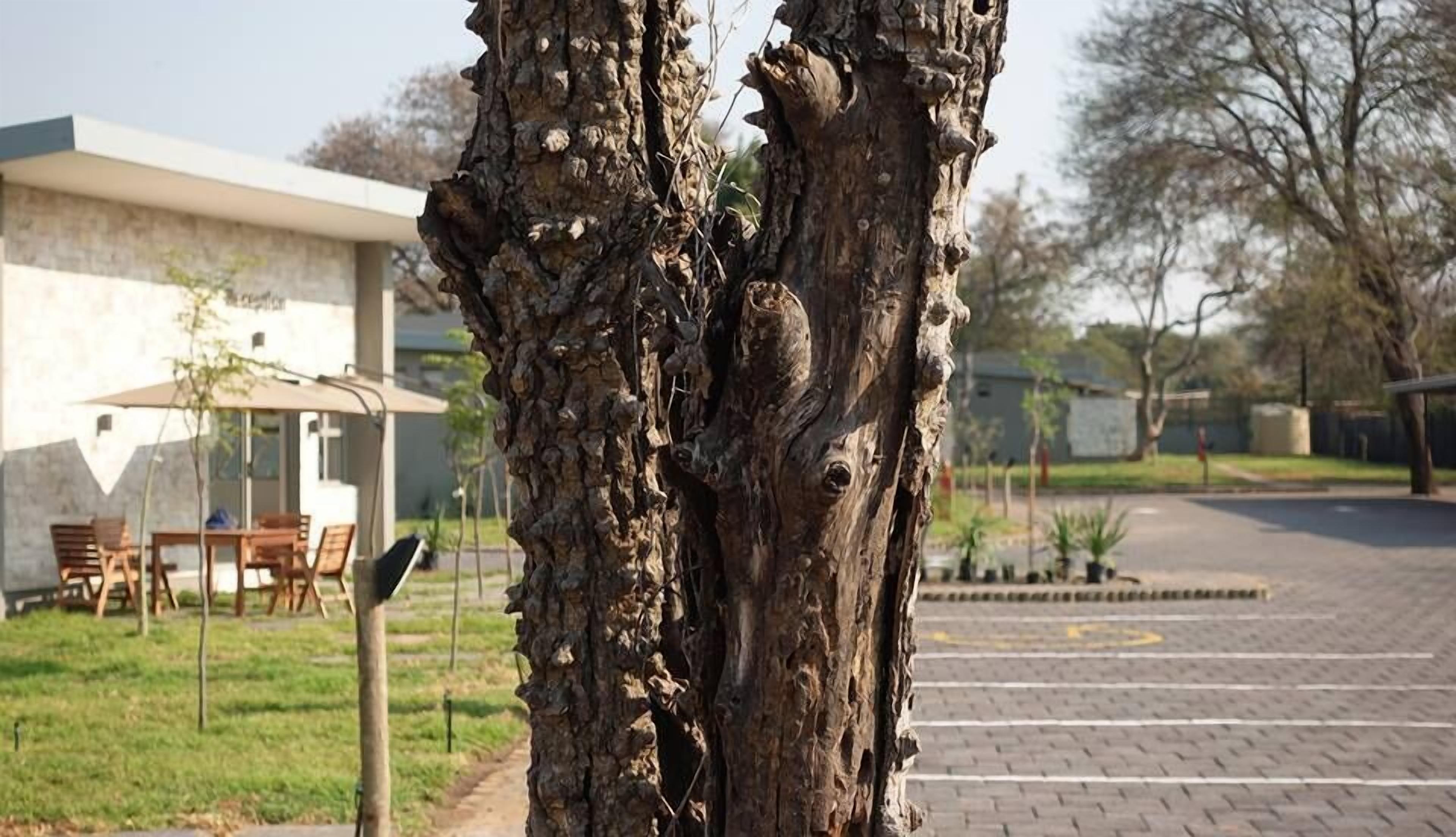 Sandpiper Villas Chobe