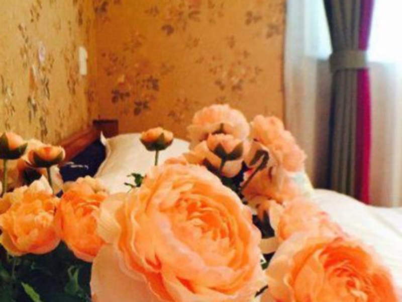 Kaifeng Bamboo Yododo Inn