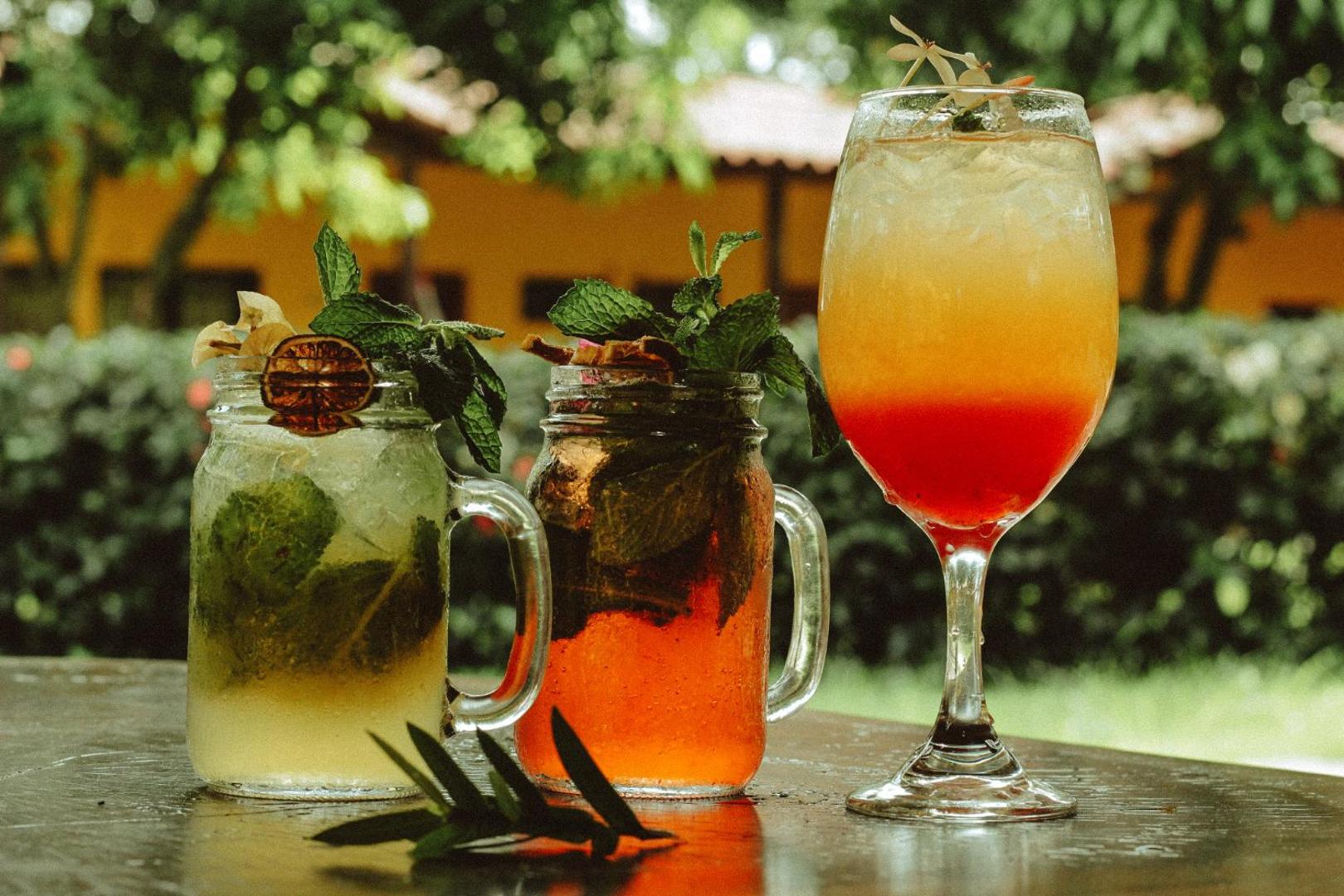 Senderos del Mar Tayrona