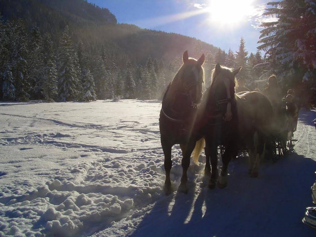 Ritter am Tegernsee