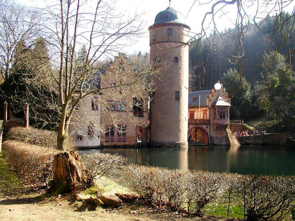 der Hobelspan