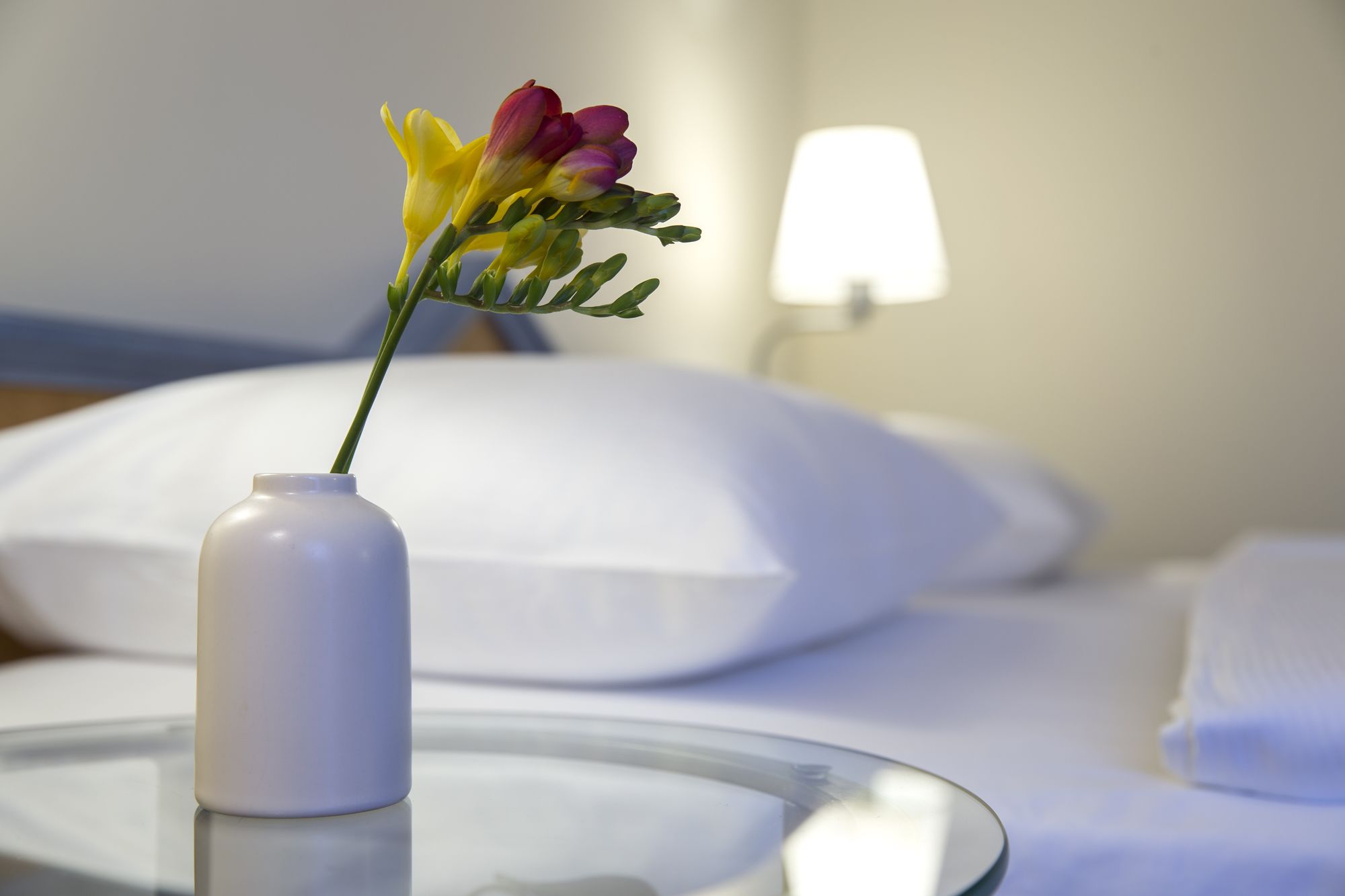 ANA Living Munich by Arthotel ANA