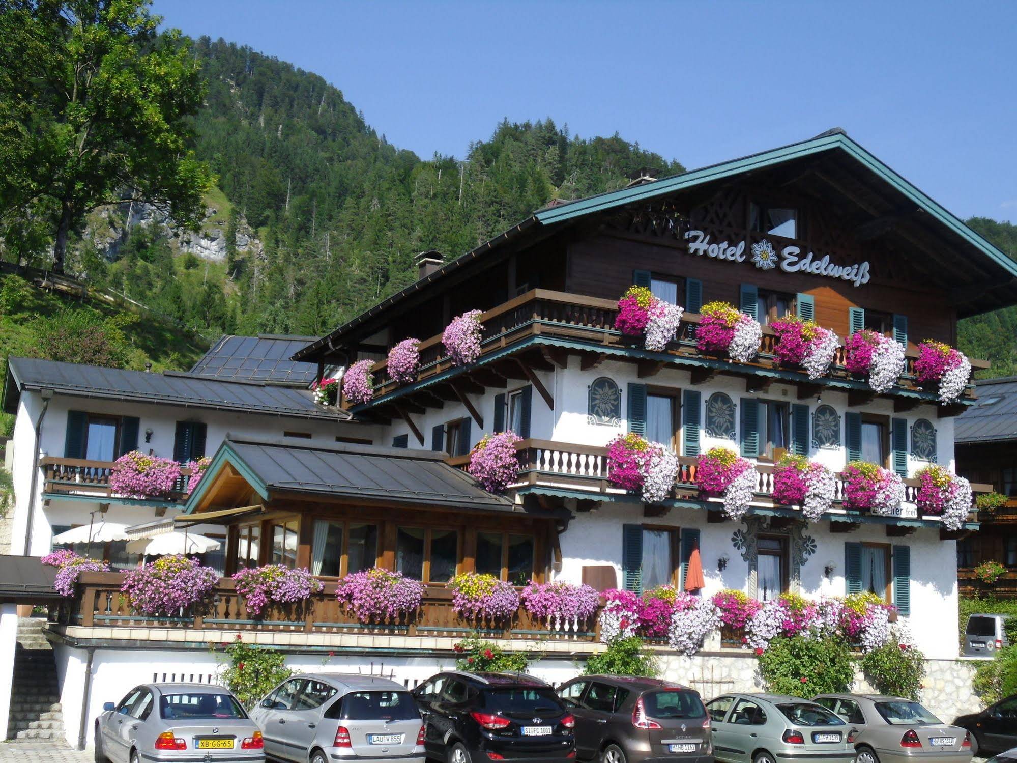 Edelweiss
