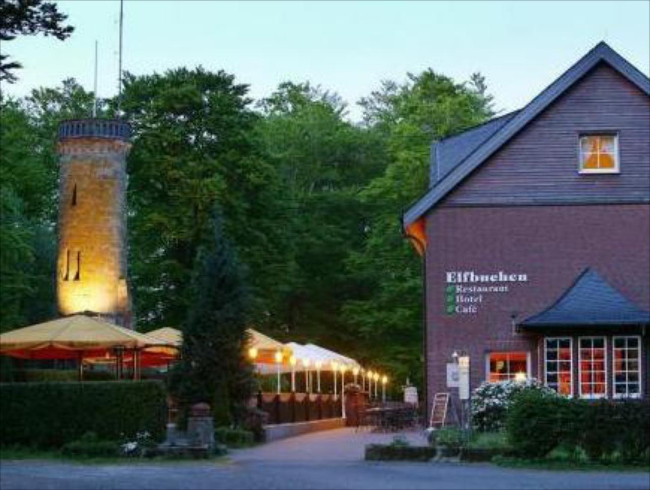 Elfbuchen