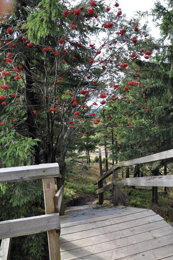 Sonnenberg Schlößchen