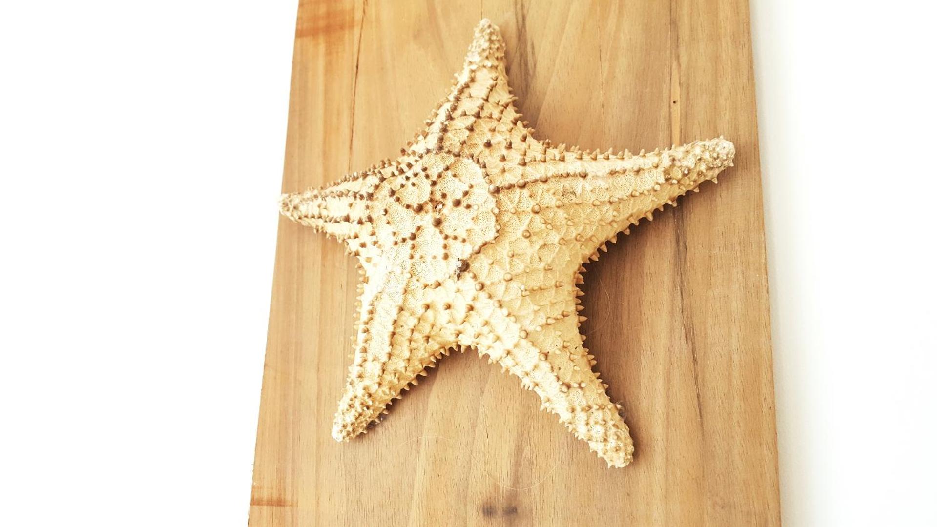 The Caribbean Gateway