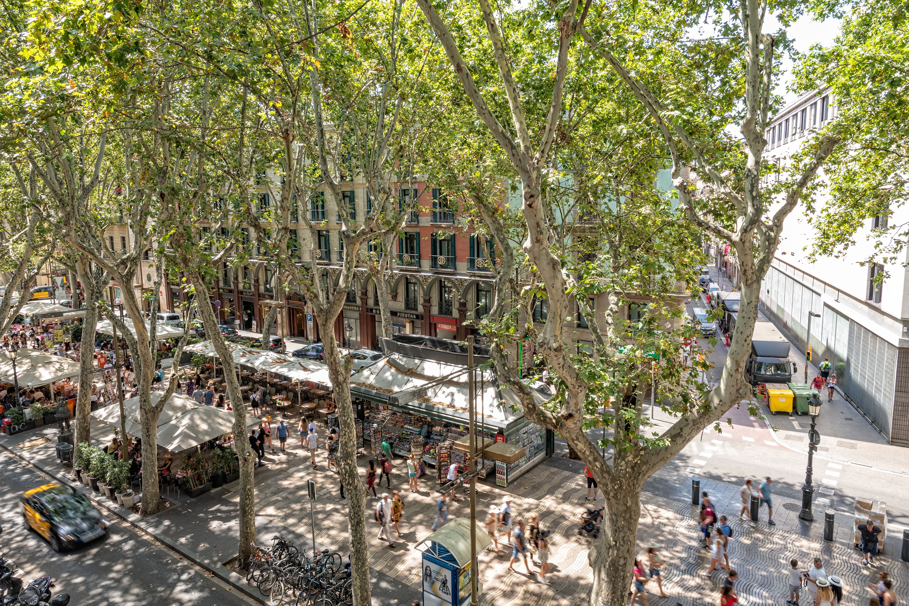 Gòtic by The 5ve Soul