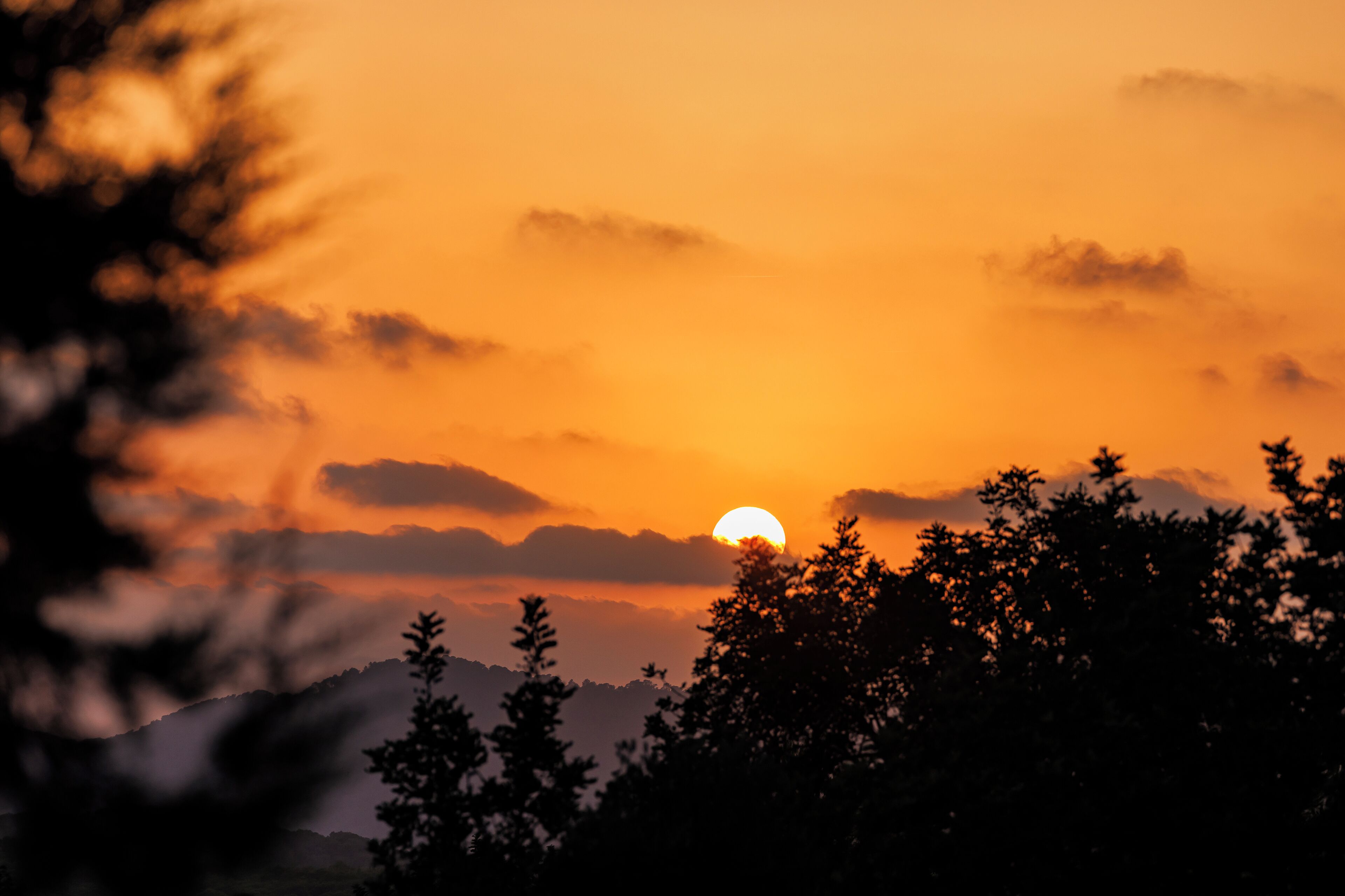 Can Lluc Boutique Country Hotel & Villas