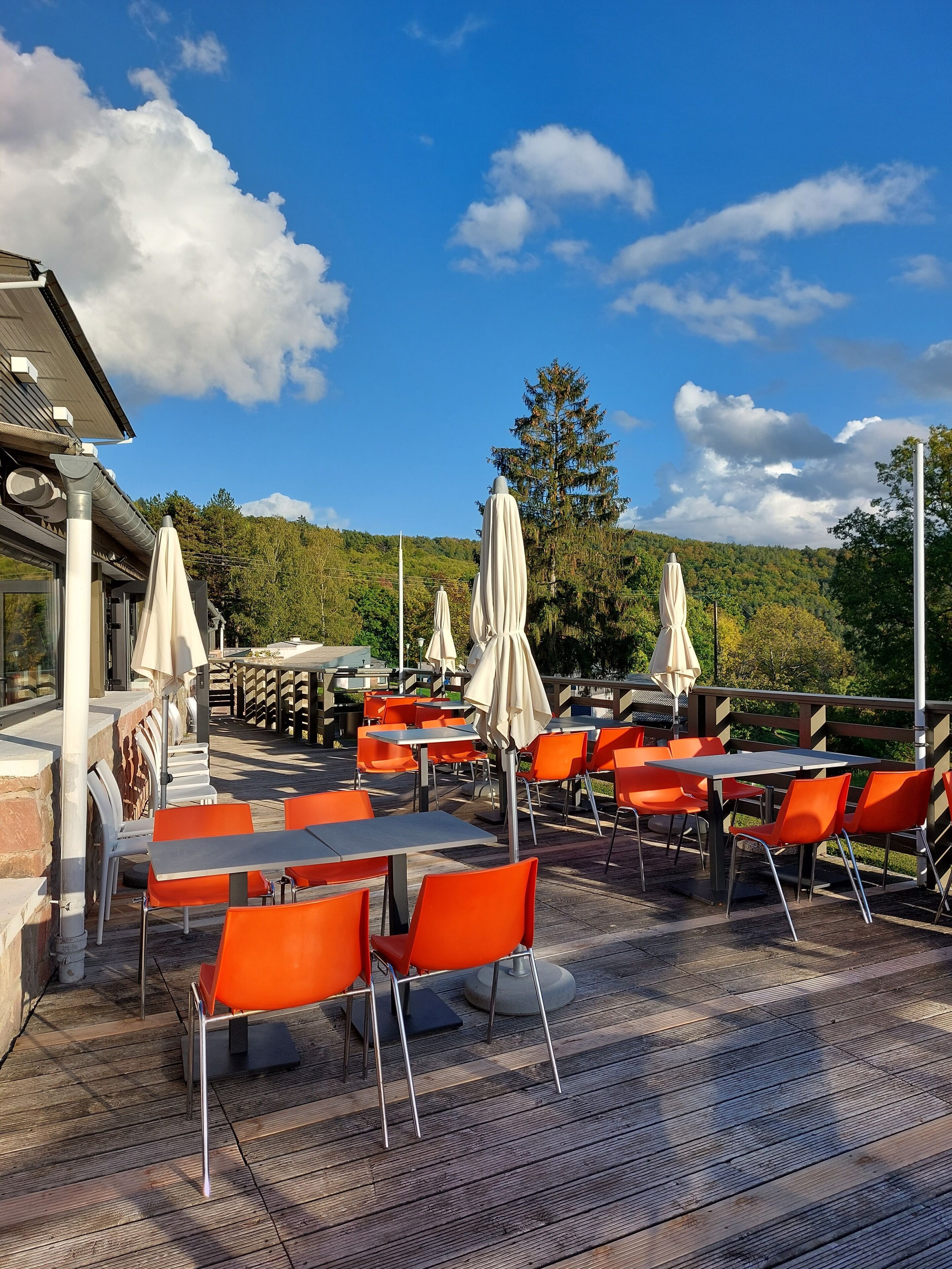 Hotel Parc & Spa Les Cigognes