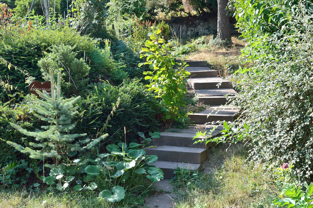 Les Gites De La Mere Michele