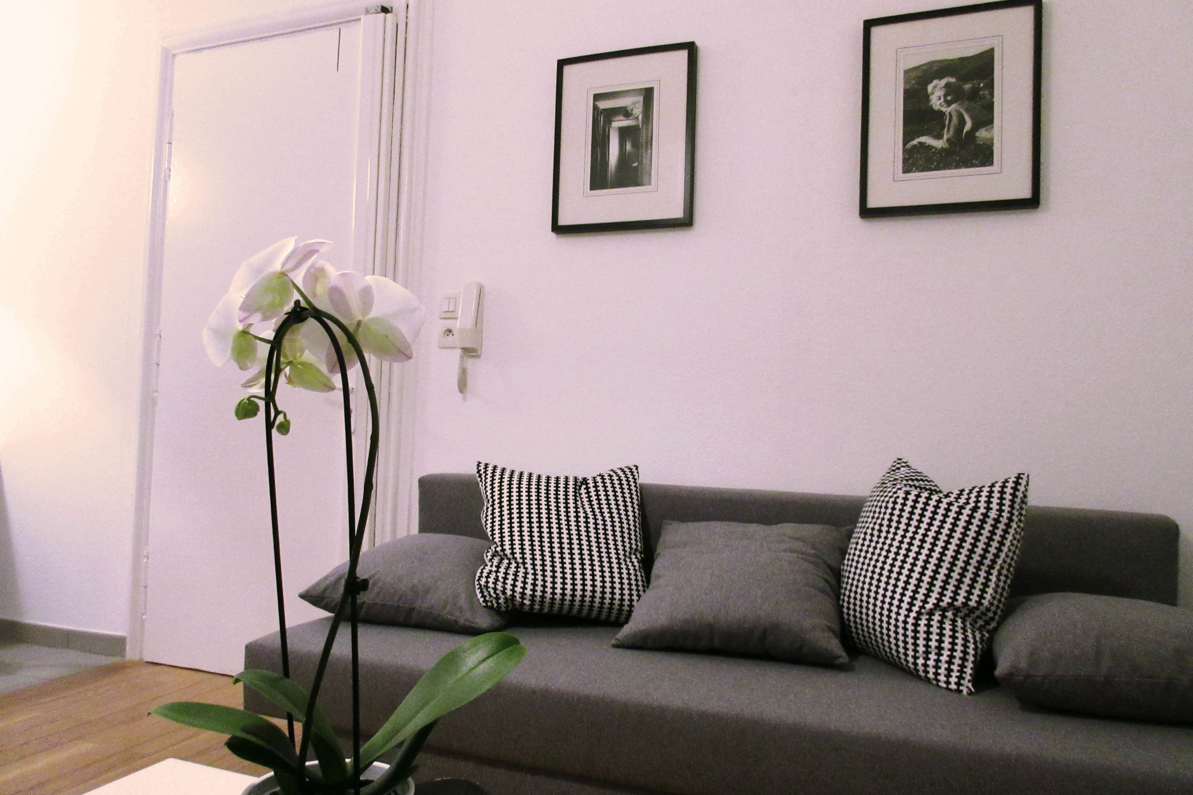 Appartement Saint Thomas 2