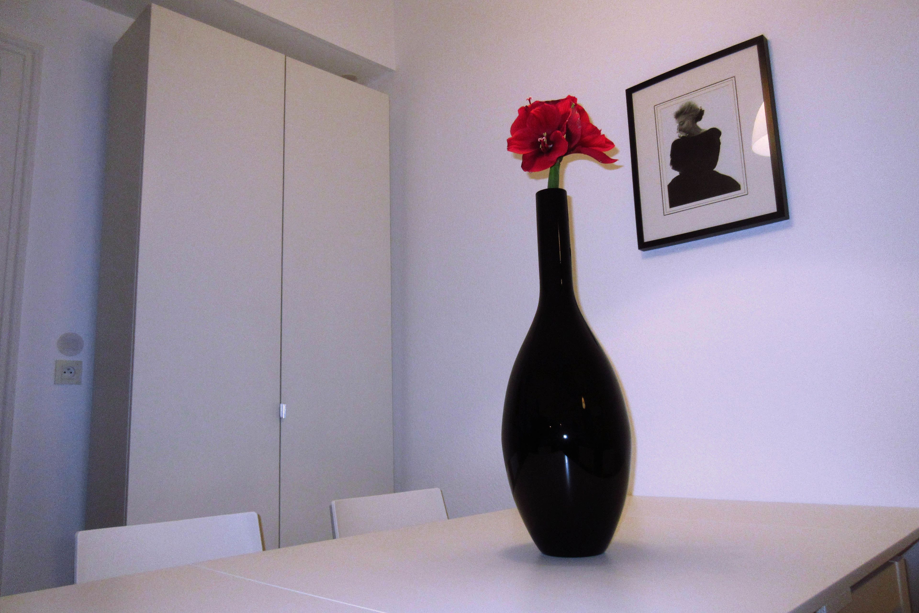 Appartement Saint Thomas 2