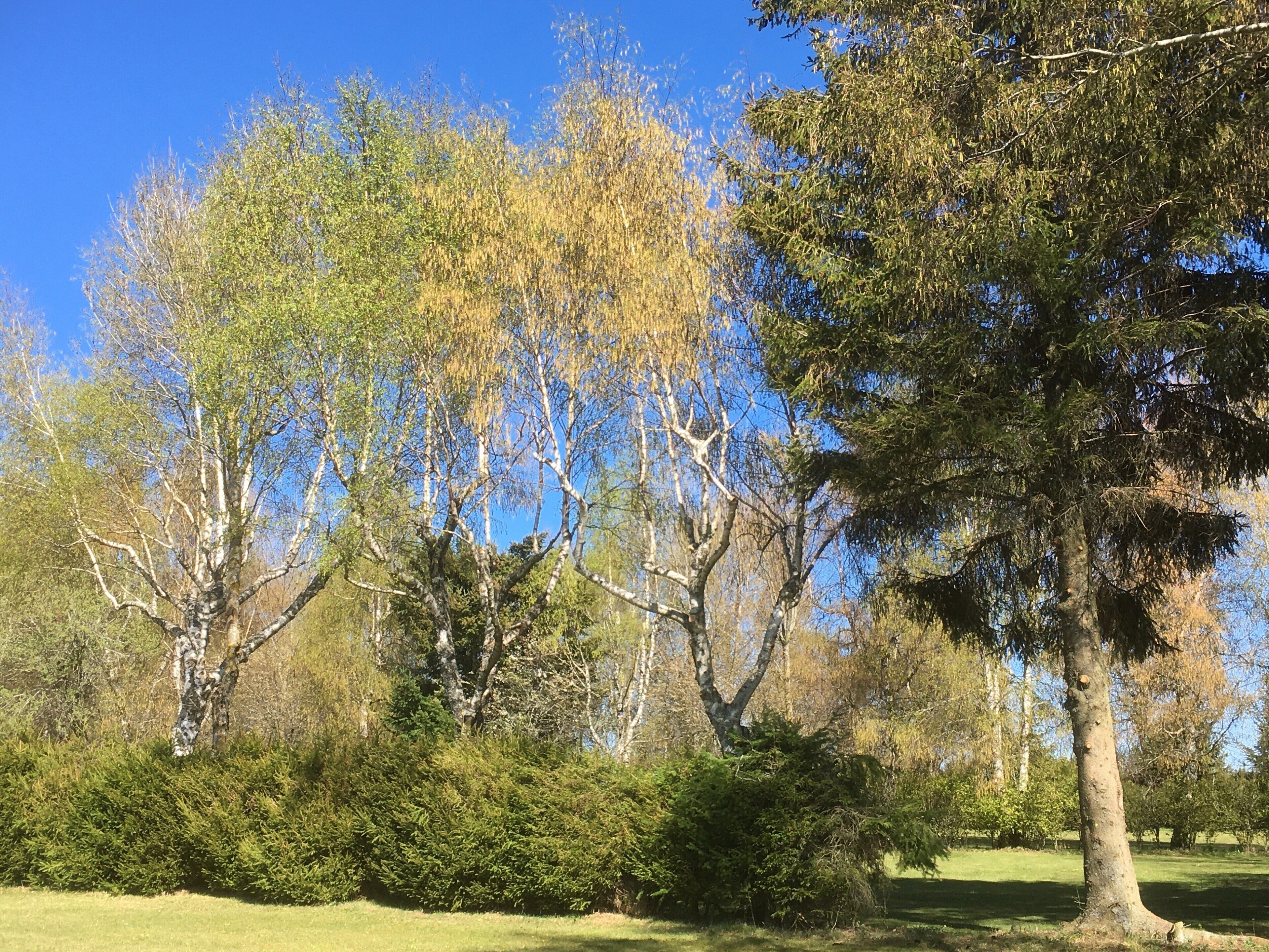Domaine Les 2 Mondes