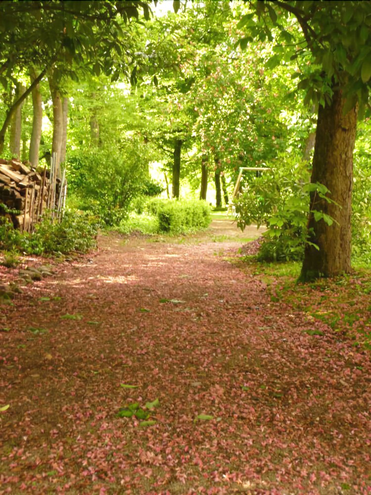 Au Bonheur Du Parc