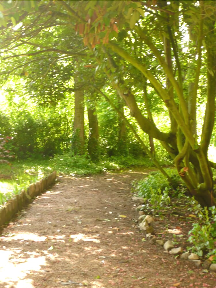 Au Bonheur Du Parc