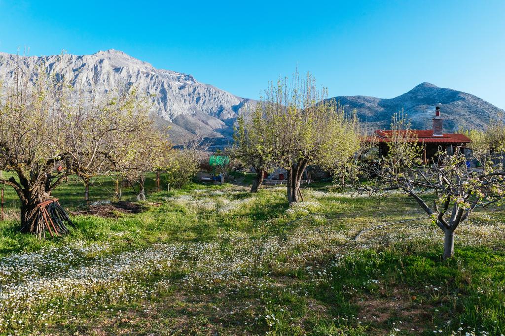Vasilikata Guesthouse