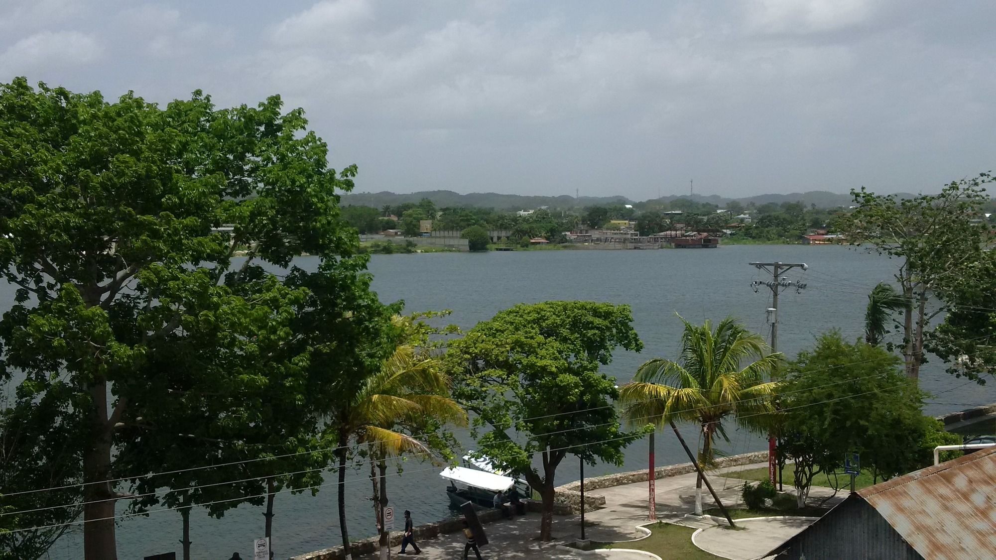 Flores de Peten