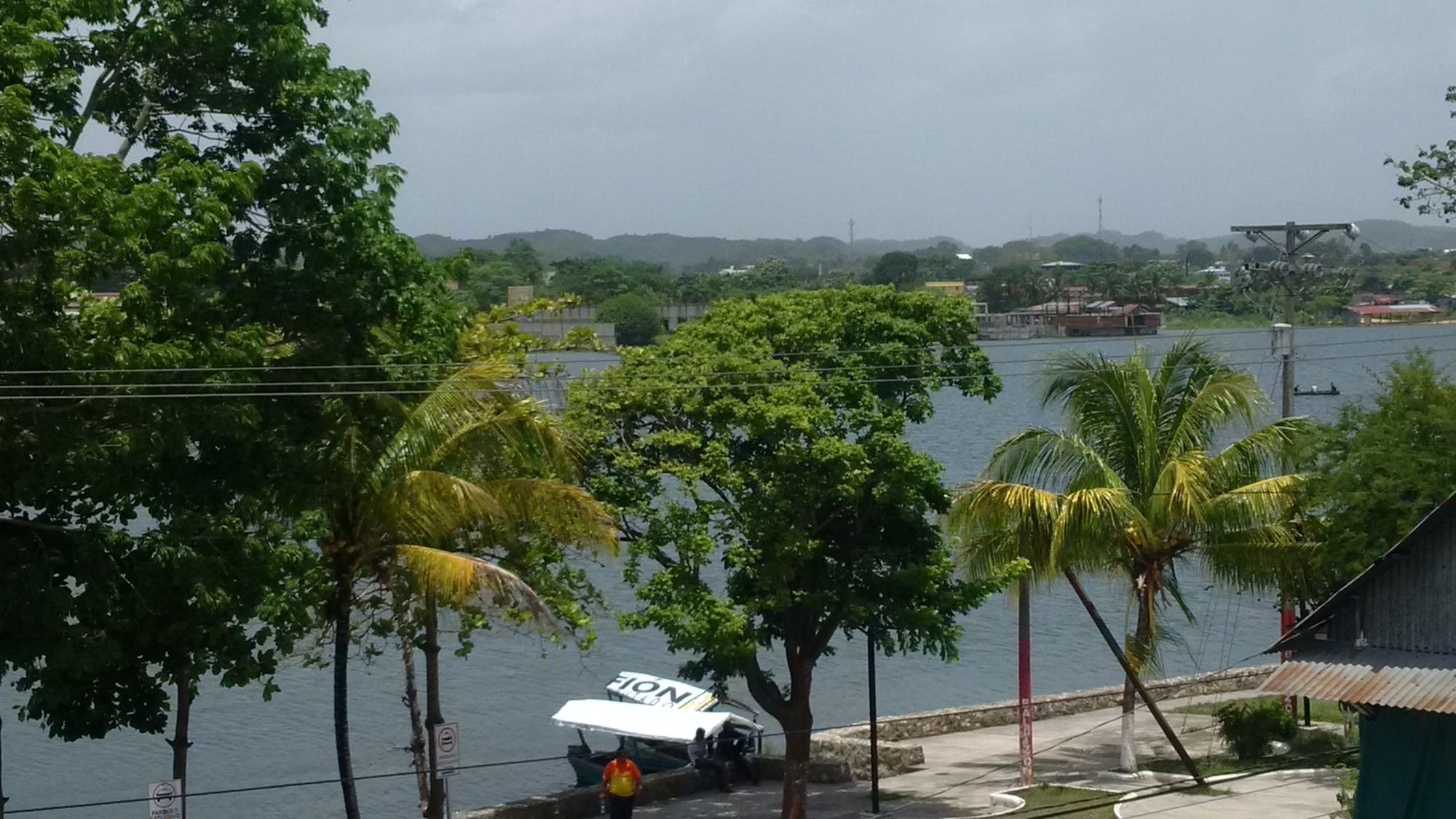 Flores de Peten