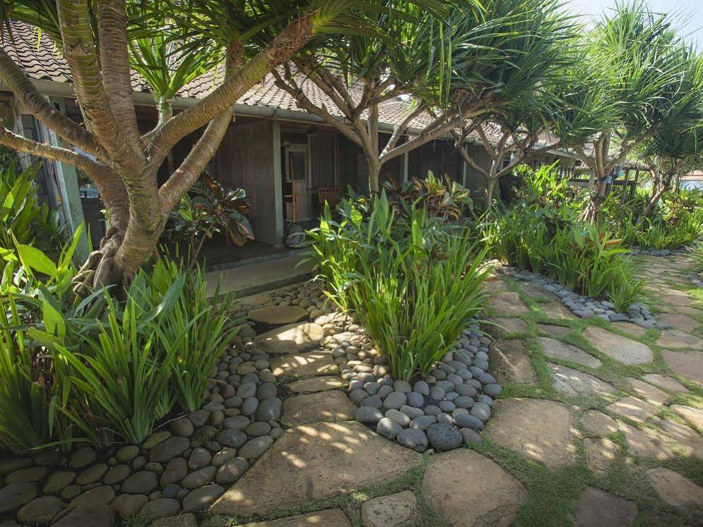 Pondok Pitaya Hotel, Surfing & Yoga