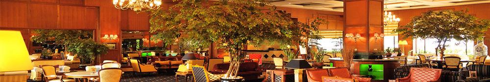 Hotel Gran Senyur
