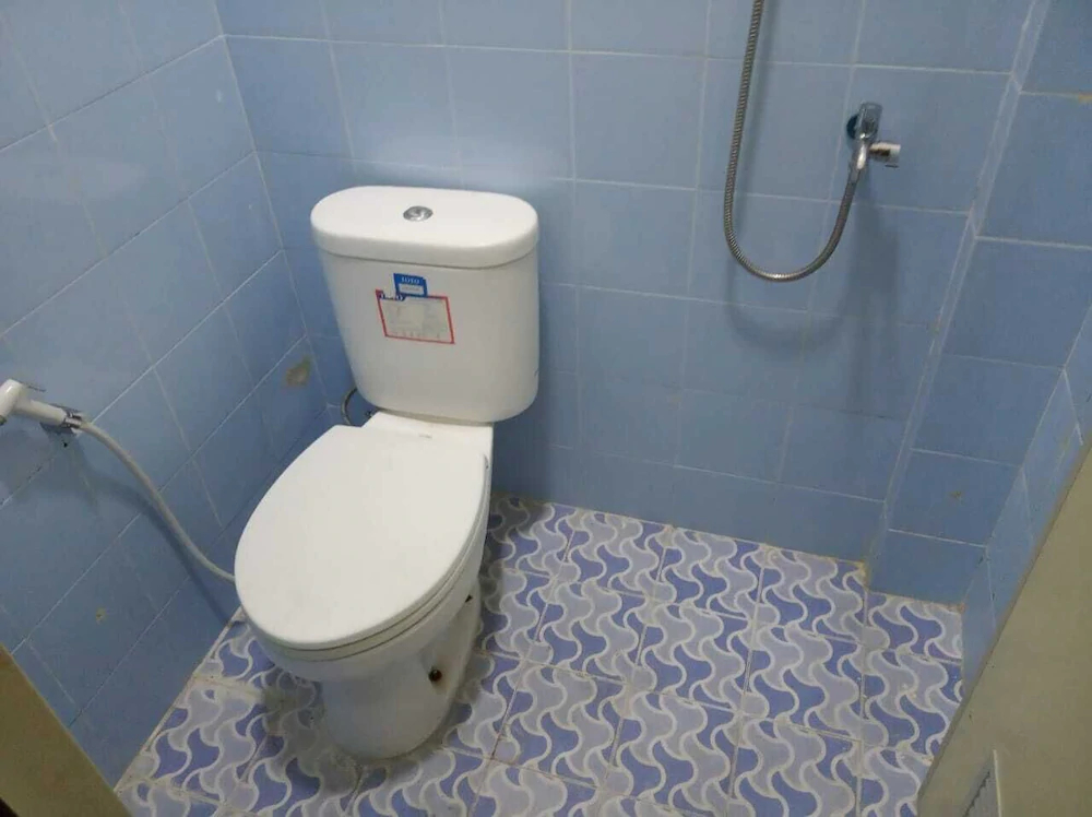 Guest House 647