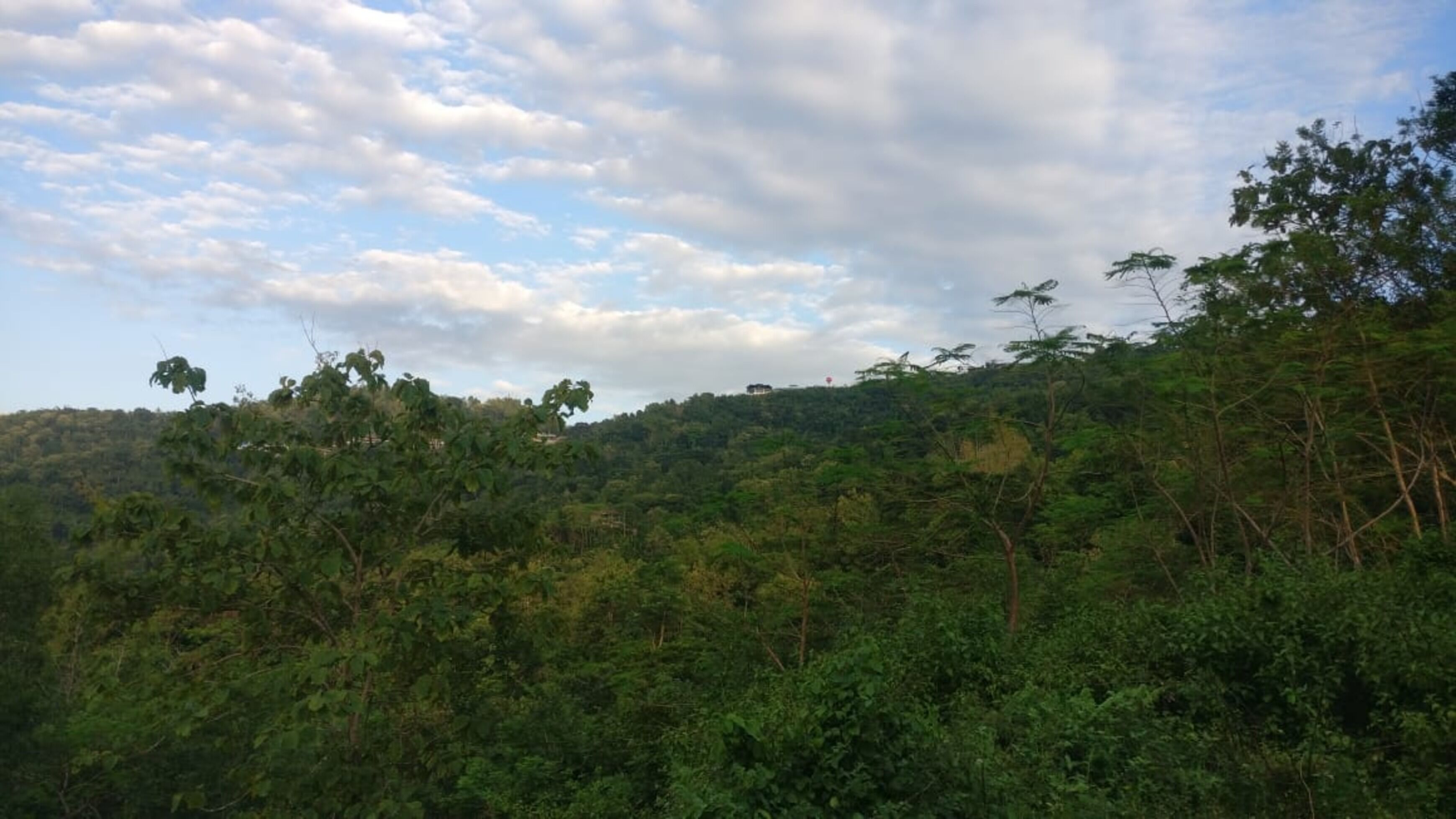 Gunung Kucing Hospiz