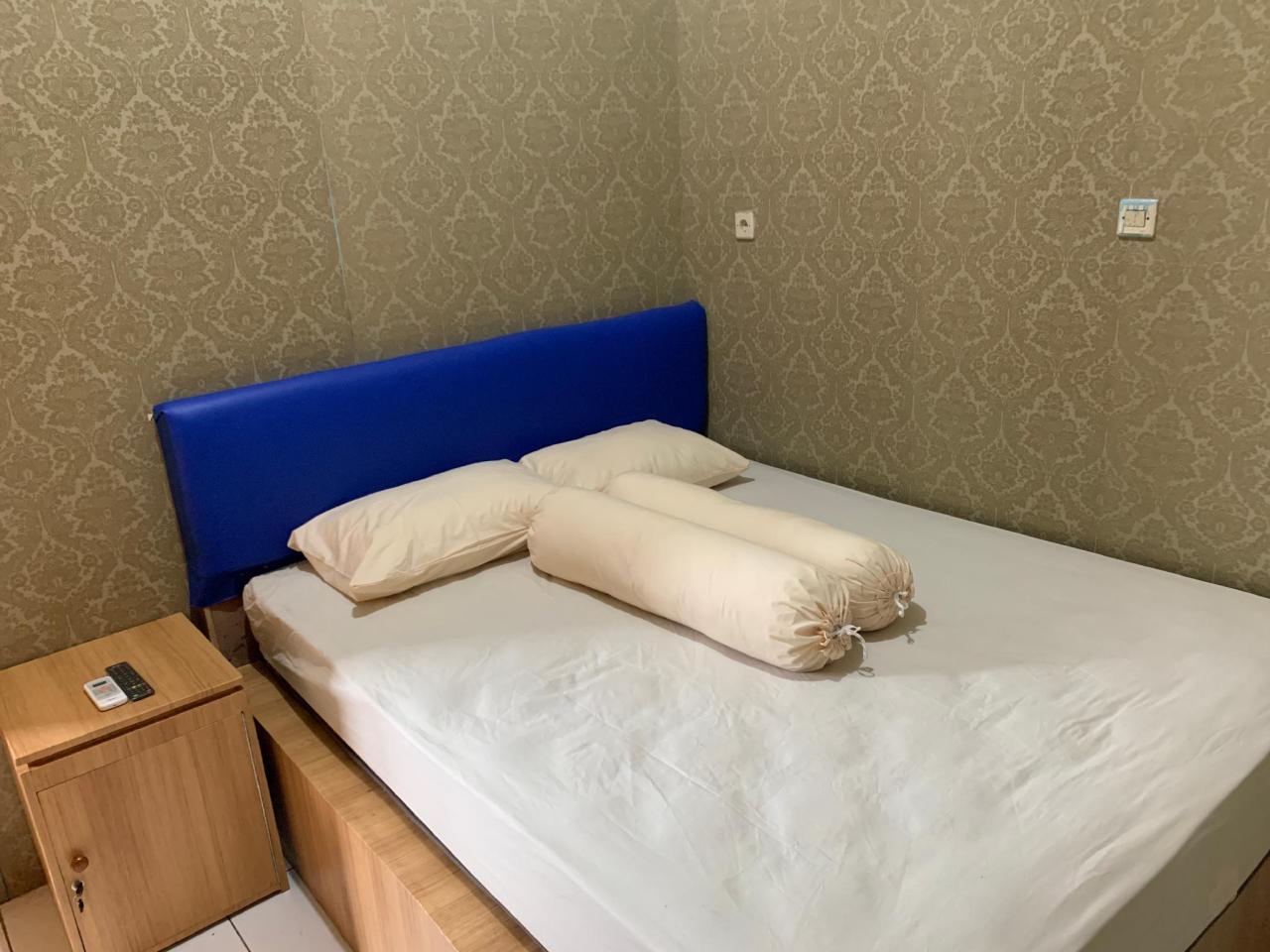 Paddington Bear Homestay Reddoors