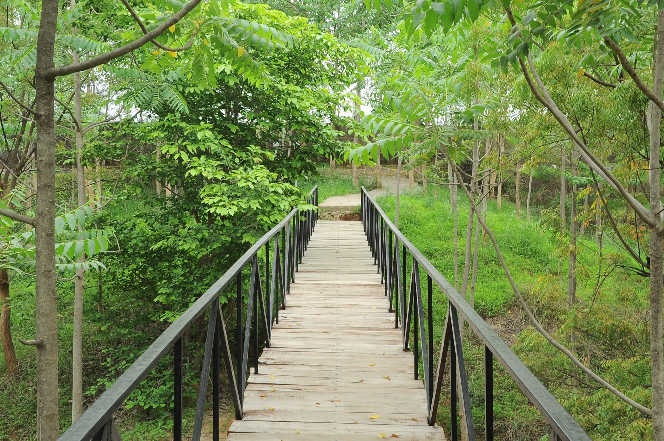 Deshawar Resort & Spa