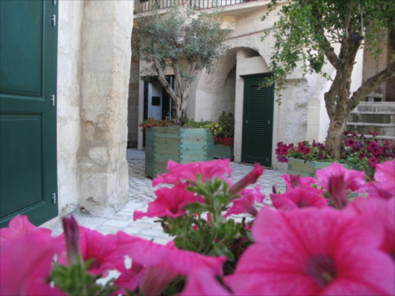 Residence Per Le Vie Del Magico Mosto