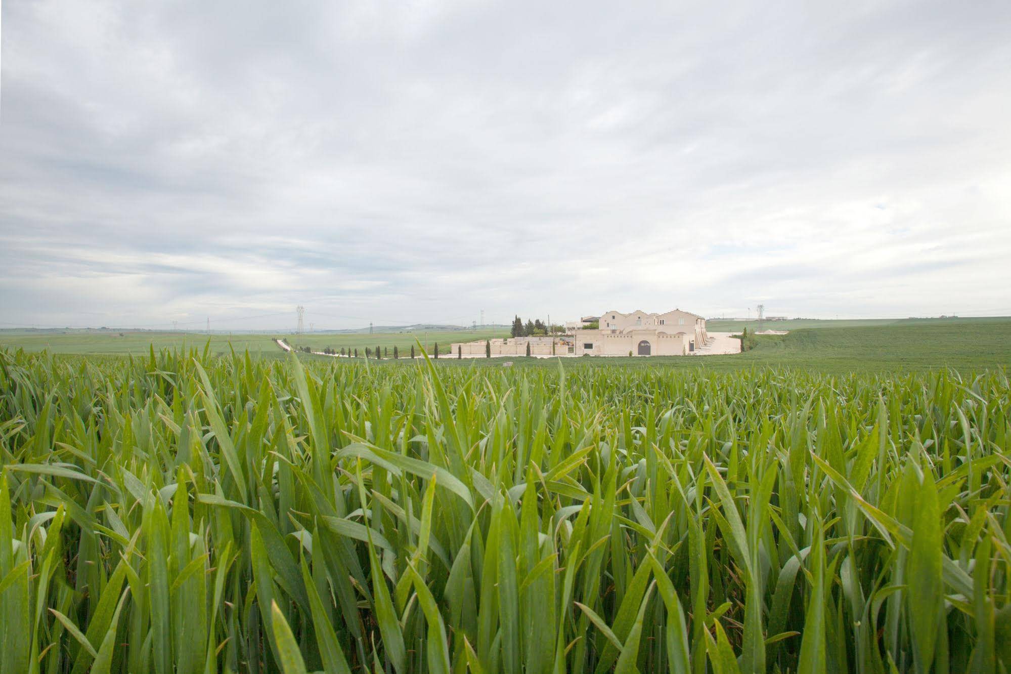 Tenuta Danesi