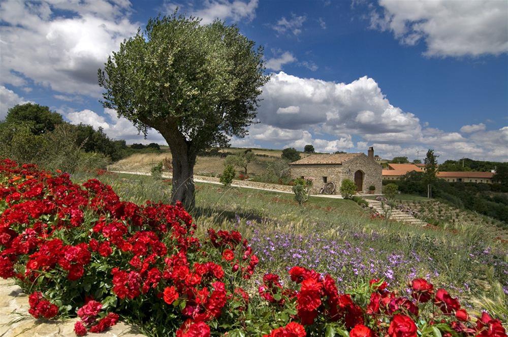 Le Masserie Del Falco