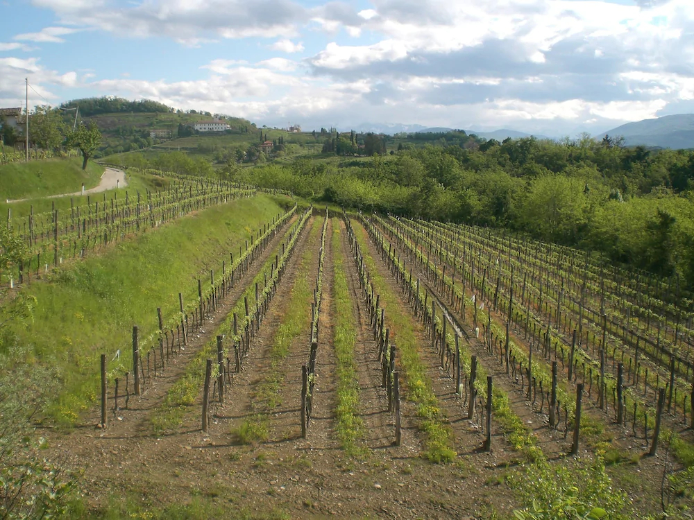 Agriturismo Giorgio Colutta