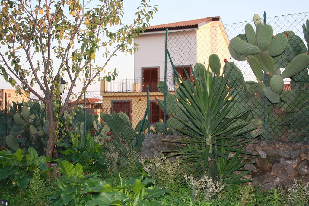 La Circumetnea B&B