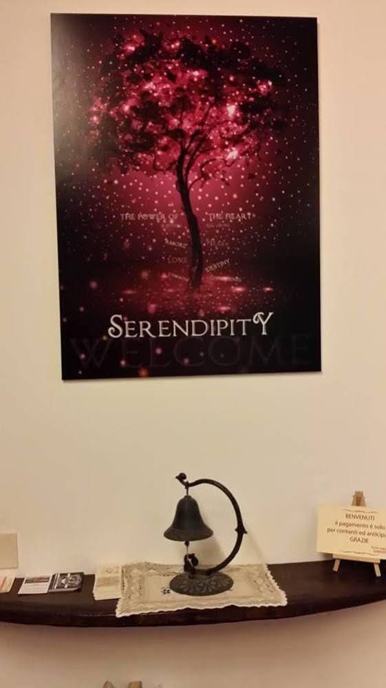 Serendipity House B&B