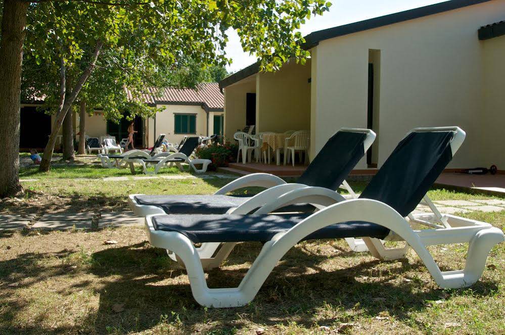 Ghiacci Vecchi
