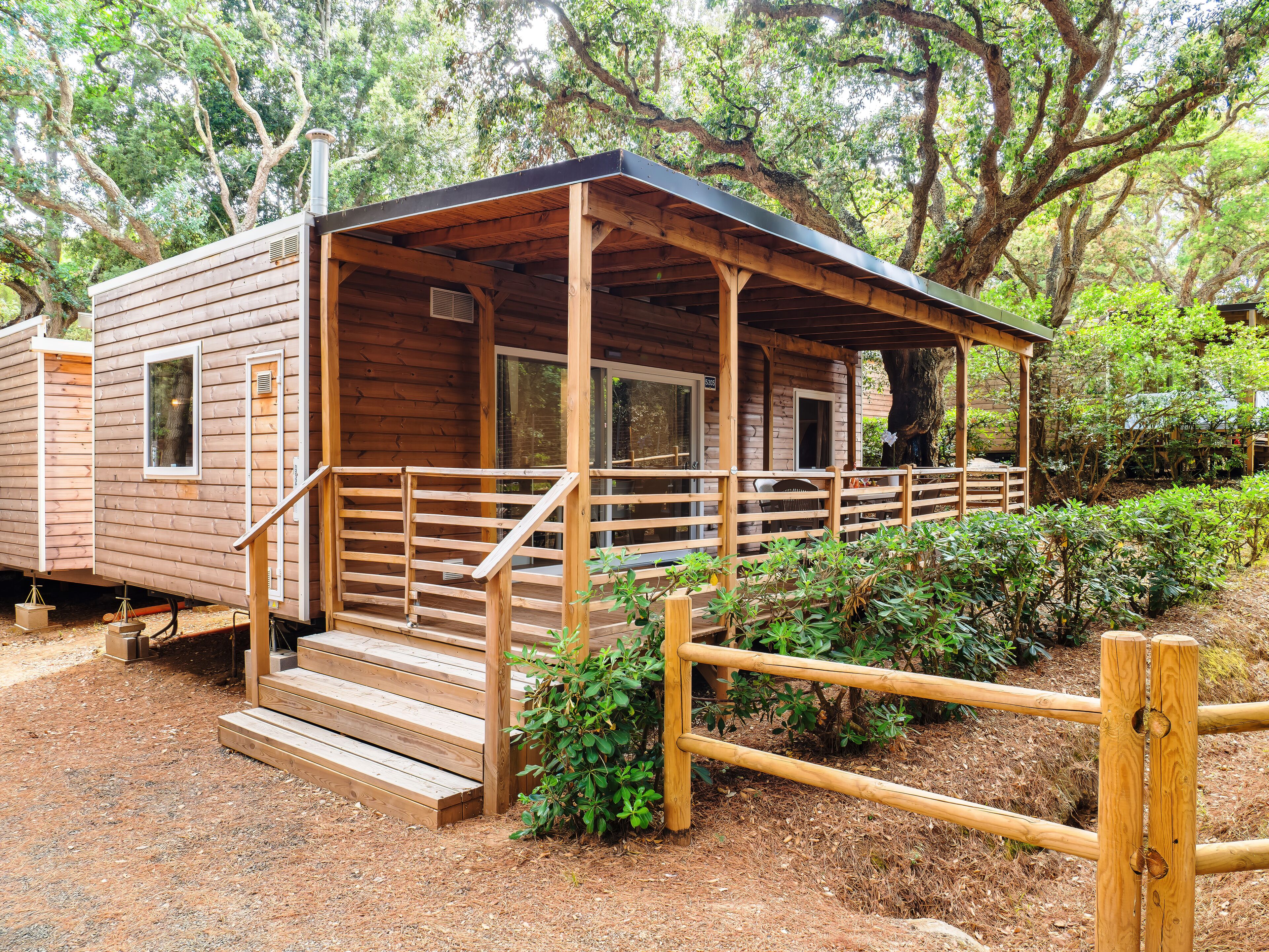 Stella del Mare Family Collection