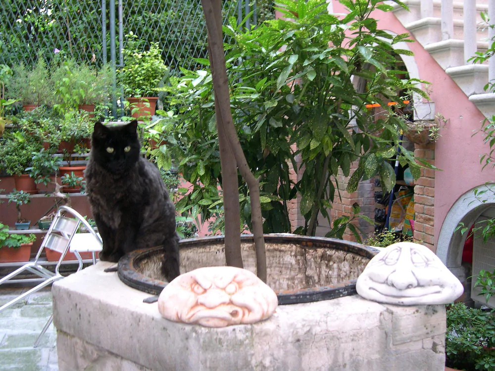 Bed And Breakfast Antico Pòrtego