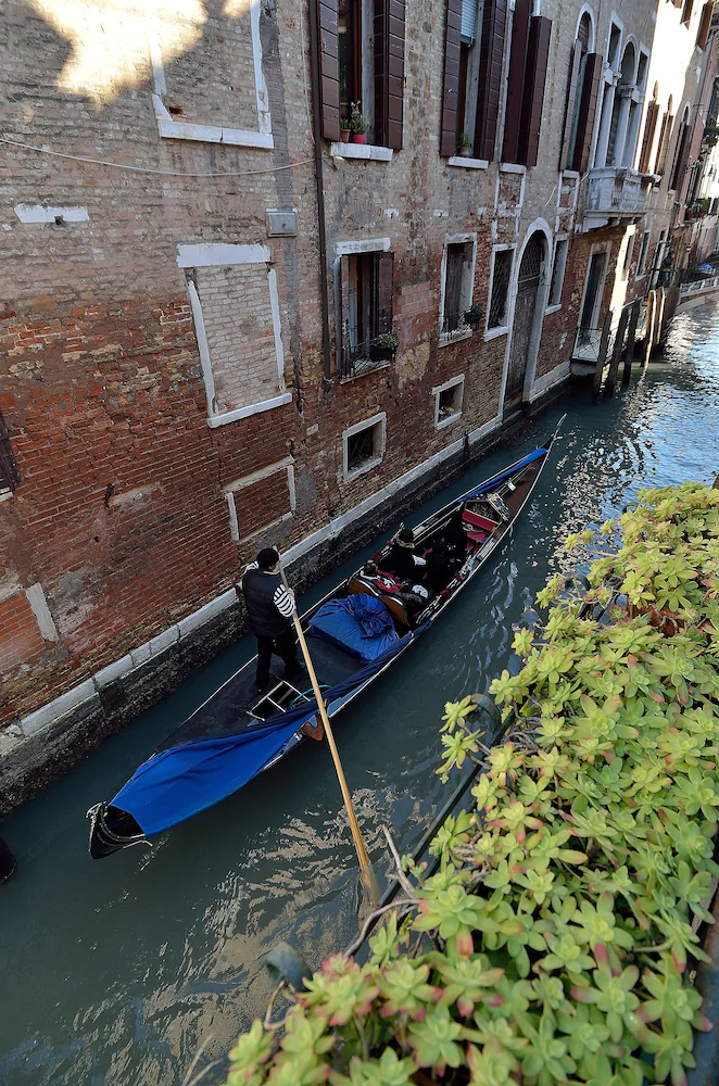 Charming Venice Apartments
