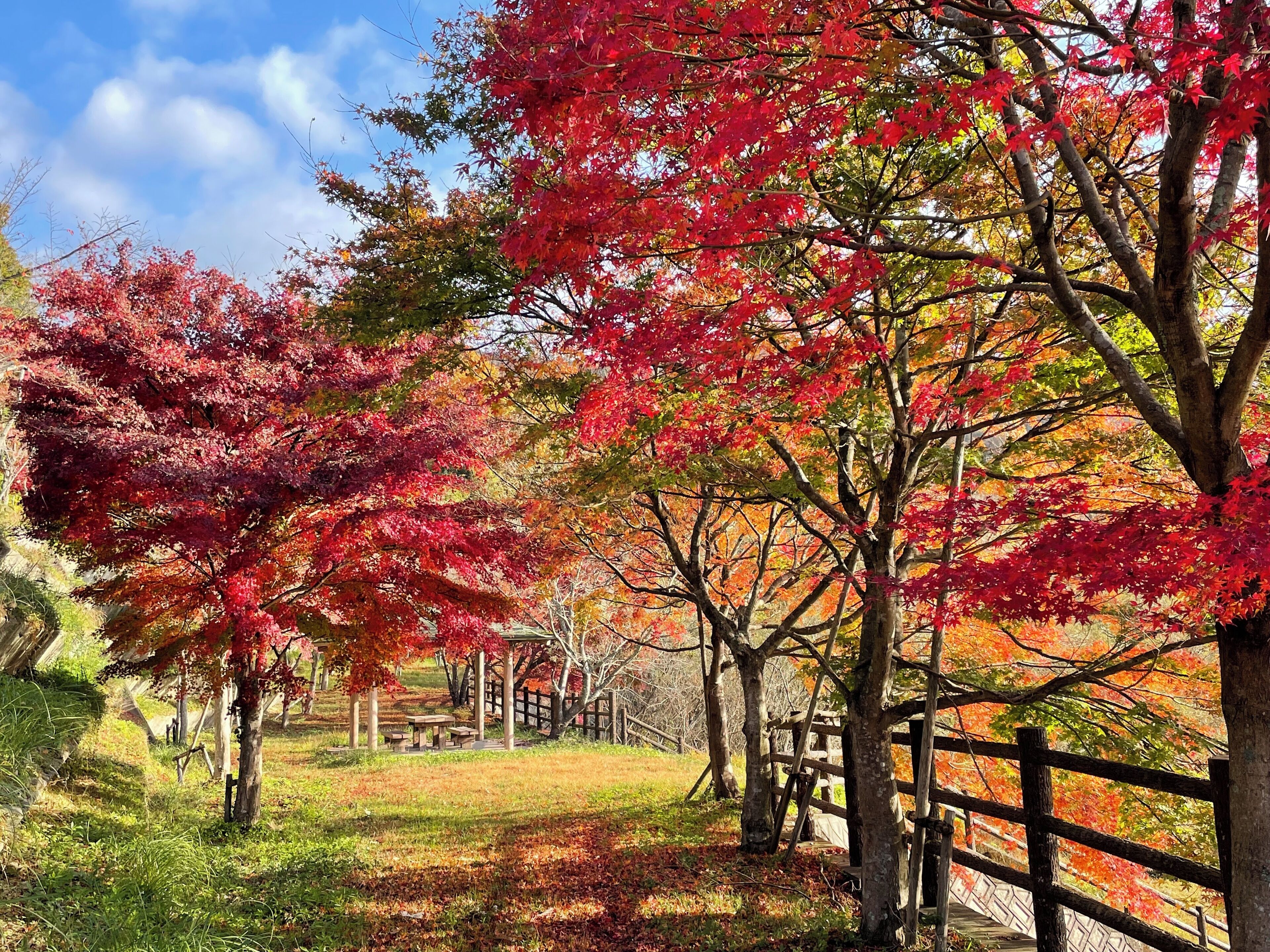 Hotel Hakuryuko Resort
