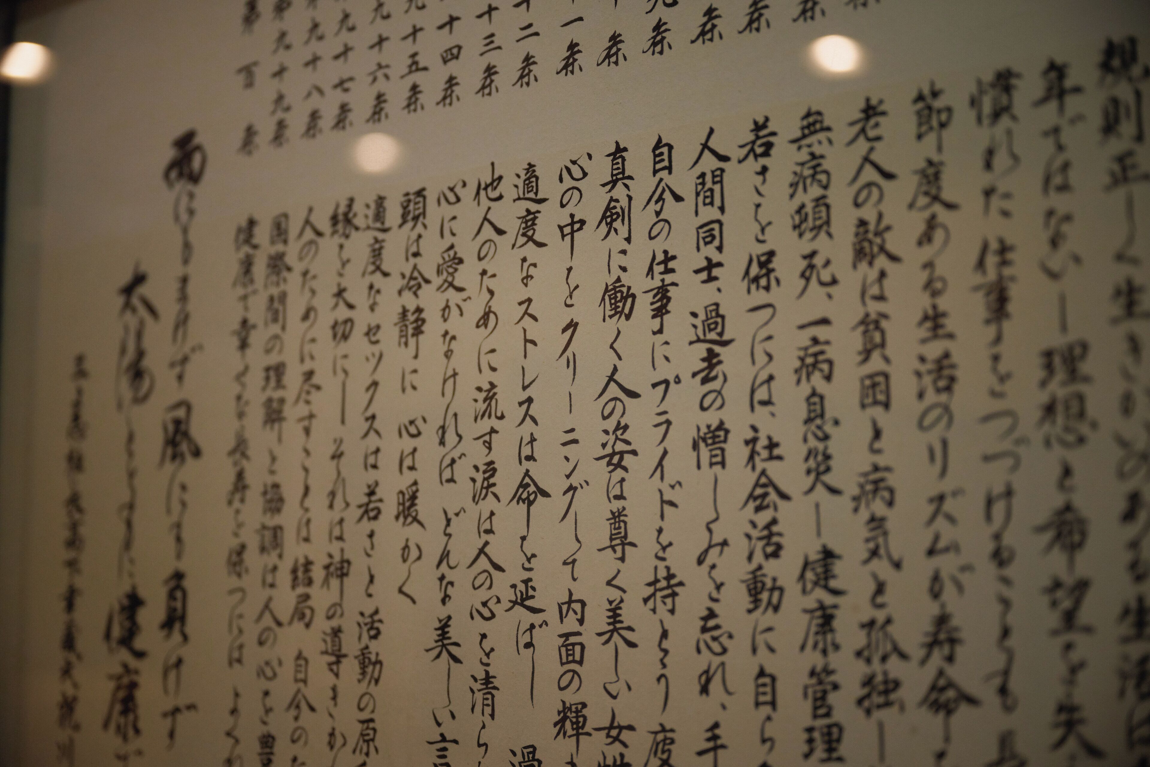 Hotel Hakuryuko Resort