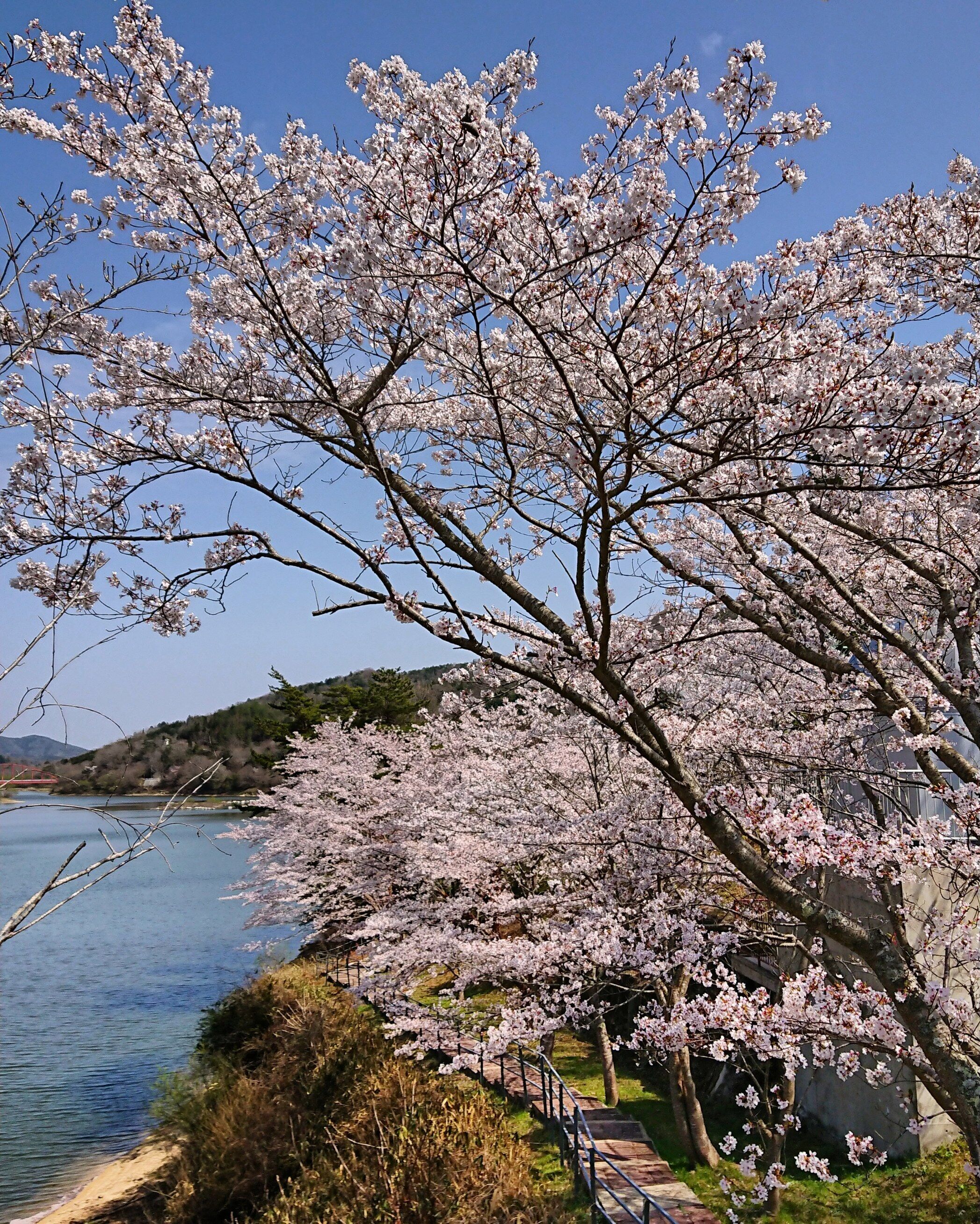 Hotel Hakuryuko Resort