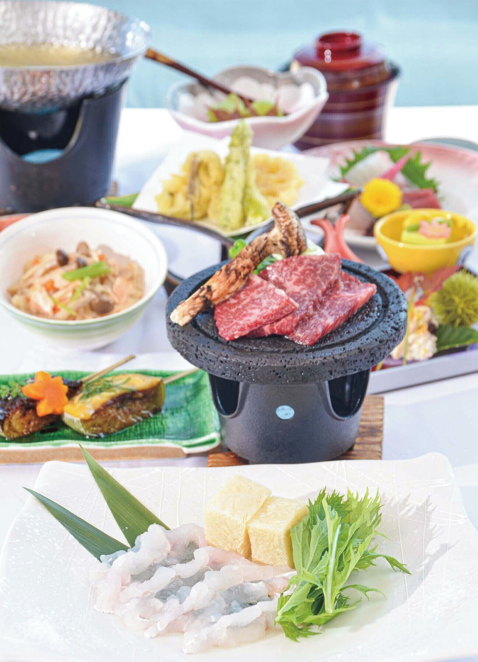 Hotel Hakuryuko Resort