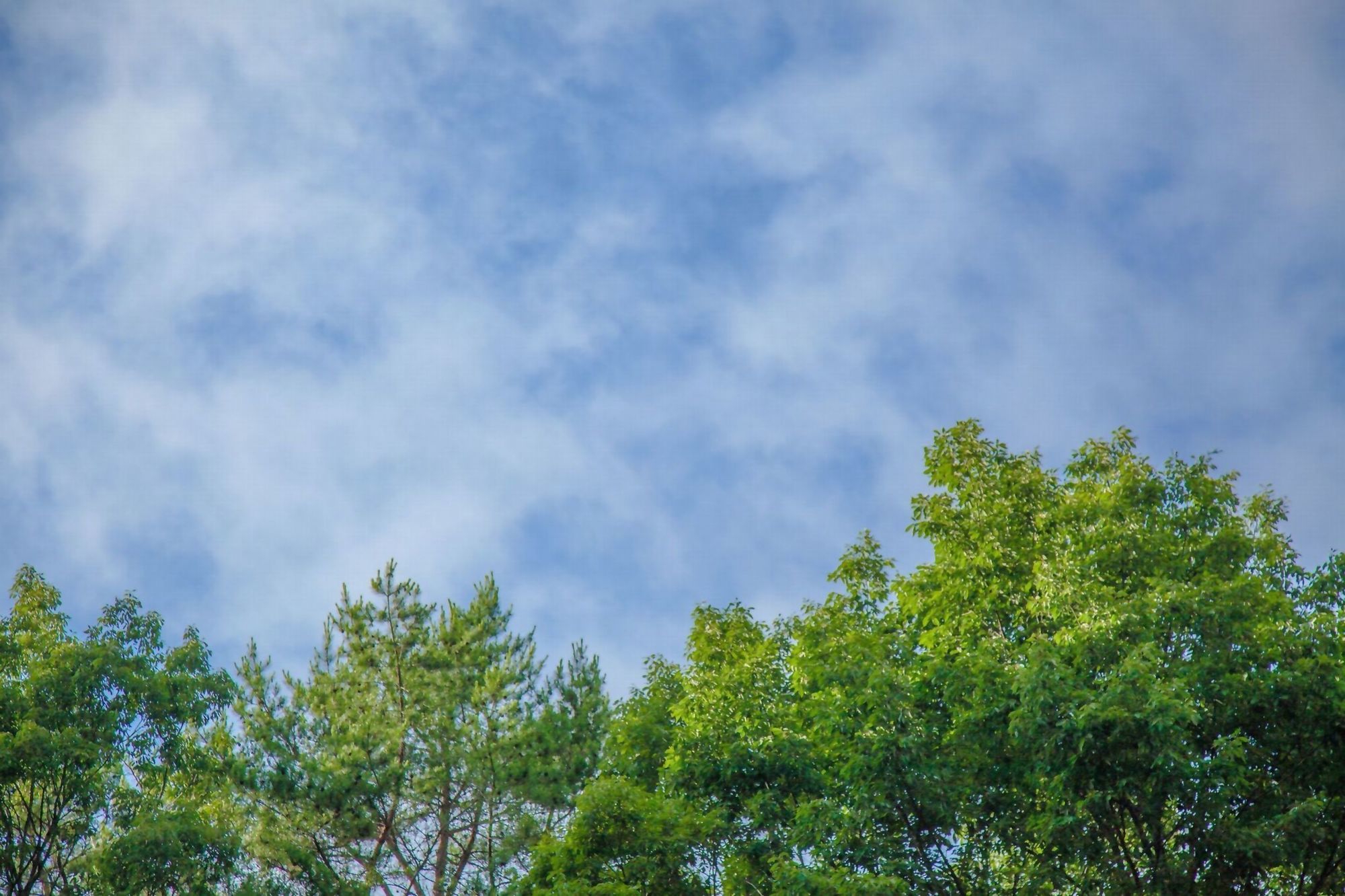 Auberge Hida No Mori