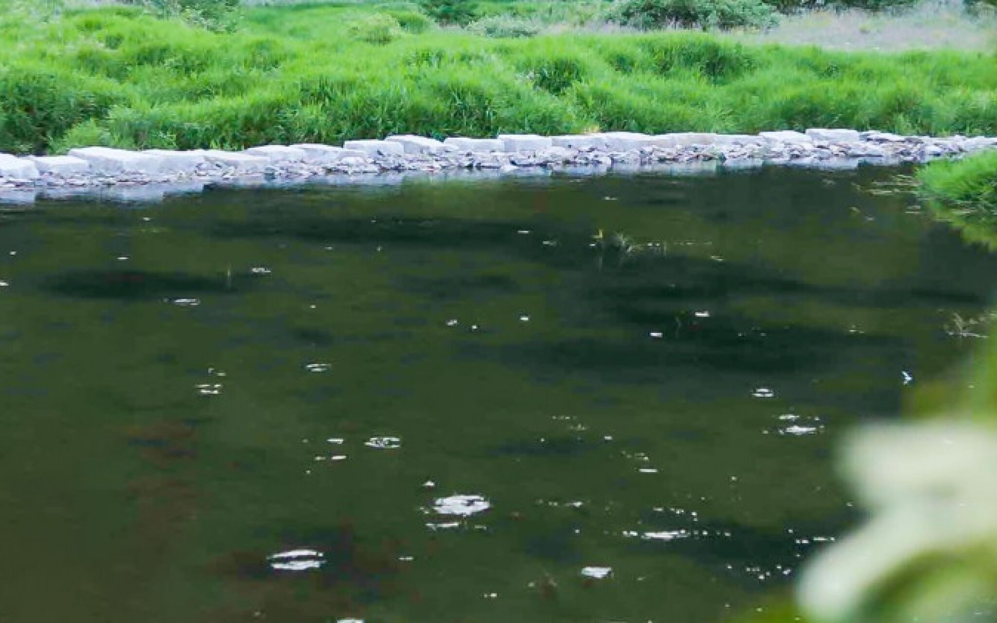 Chuncheon Sampogil Pool Villa