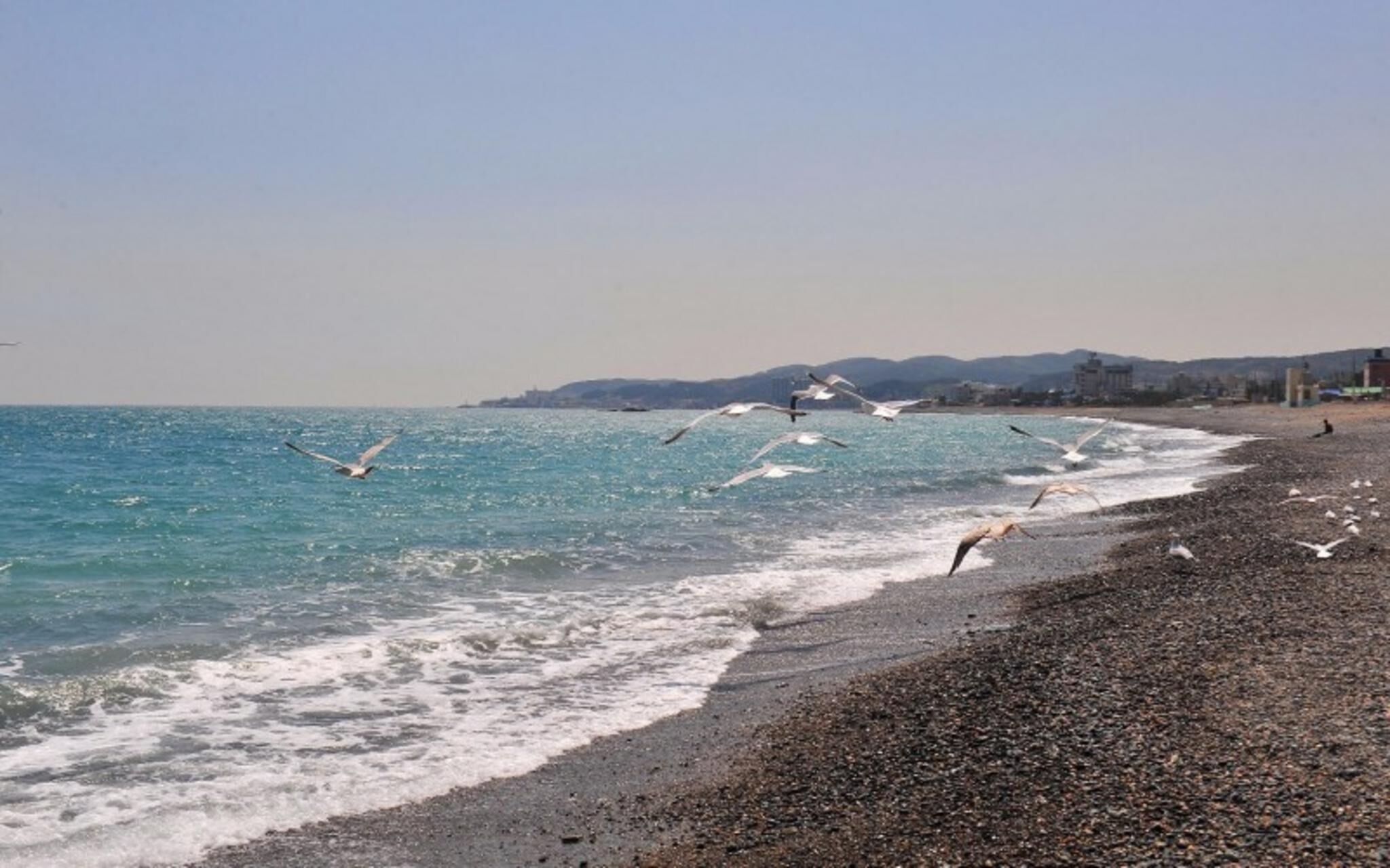 Gyeongju Ocean Tour Pension