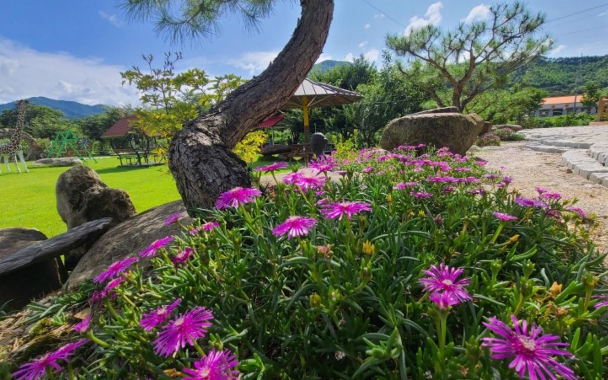 Muju Windmills and Streams Pension