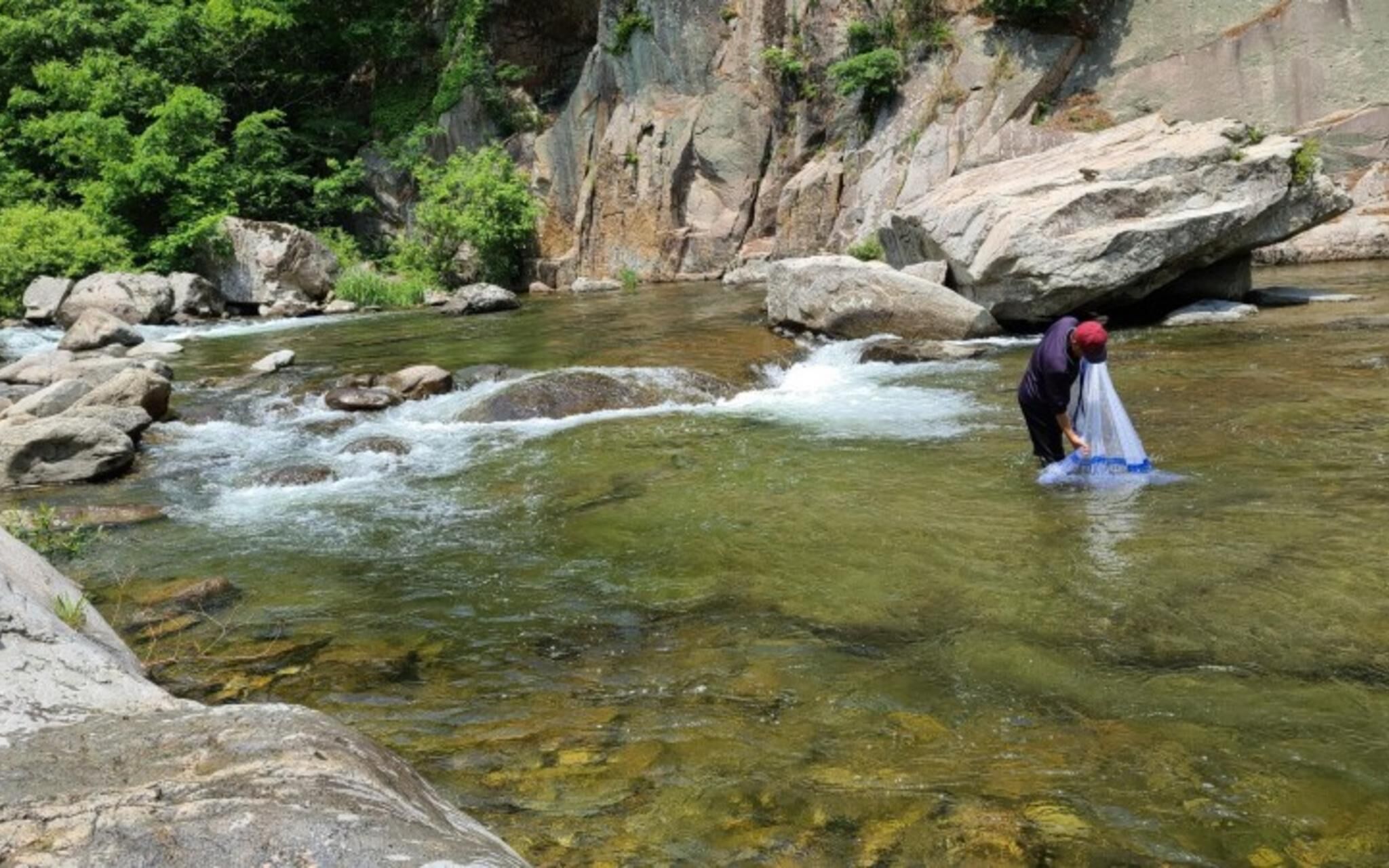 Muju Windmills and Streams Pension
