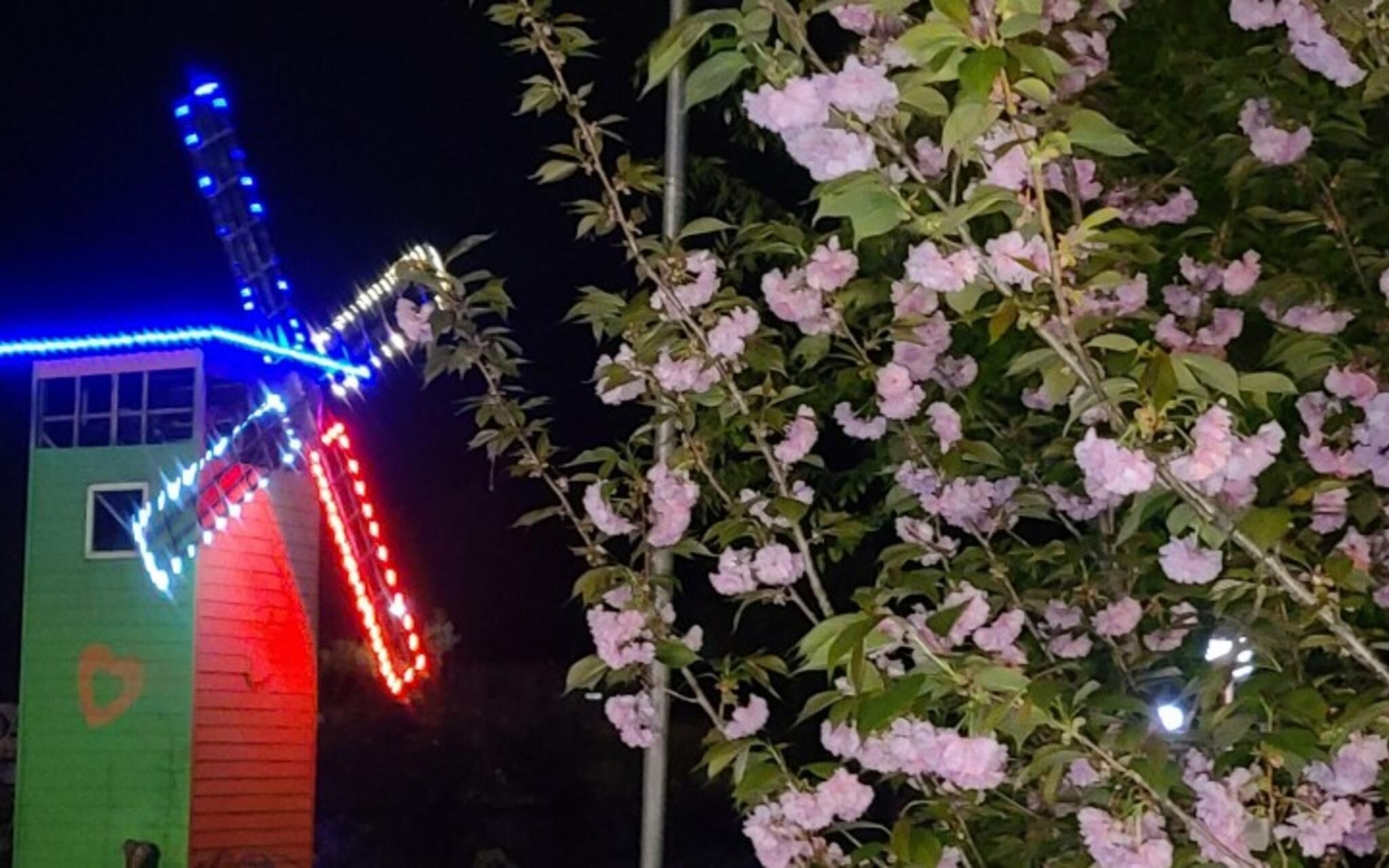 Muju Windmills and Streams Pension