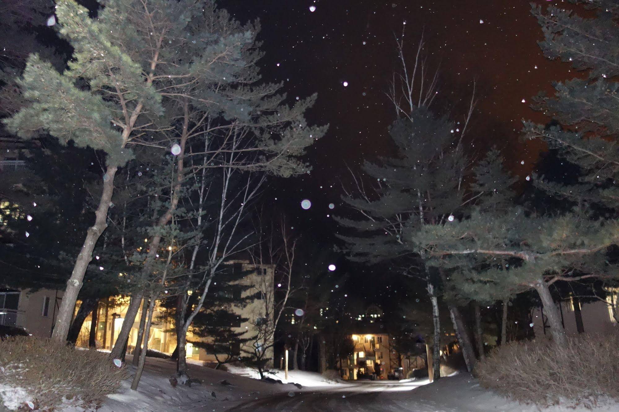 Yongpyong Dragon Valley Hotel